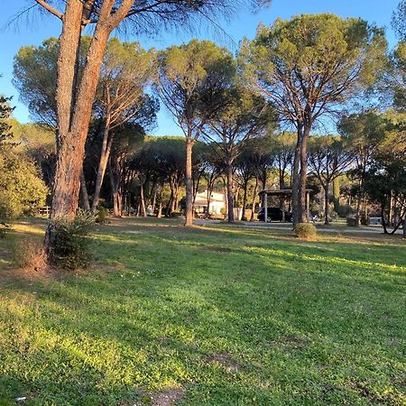 Residence Gabrielle Le Cannet Des Maures Exteriör bild