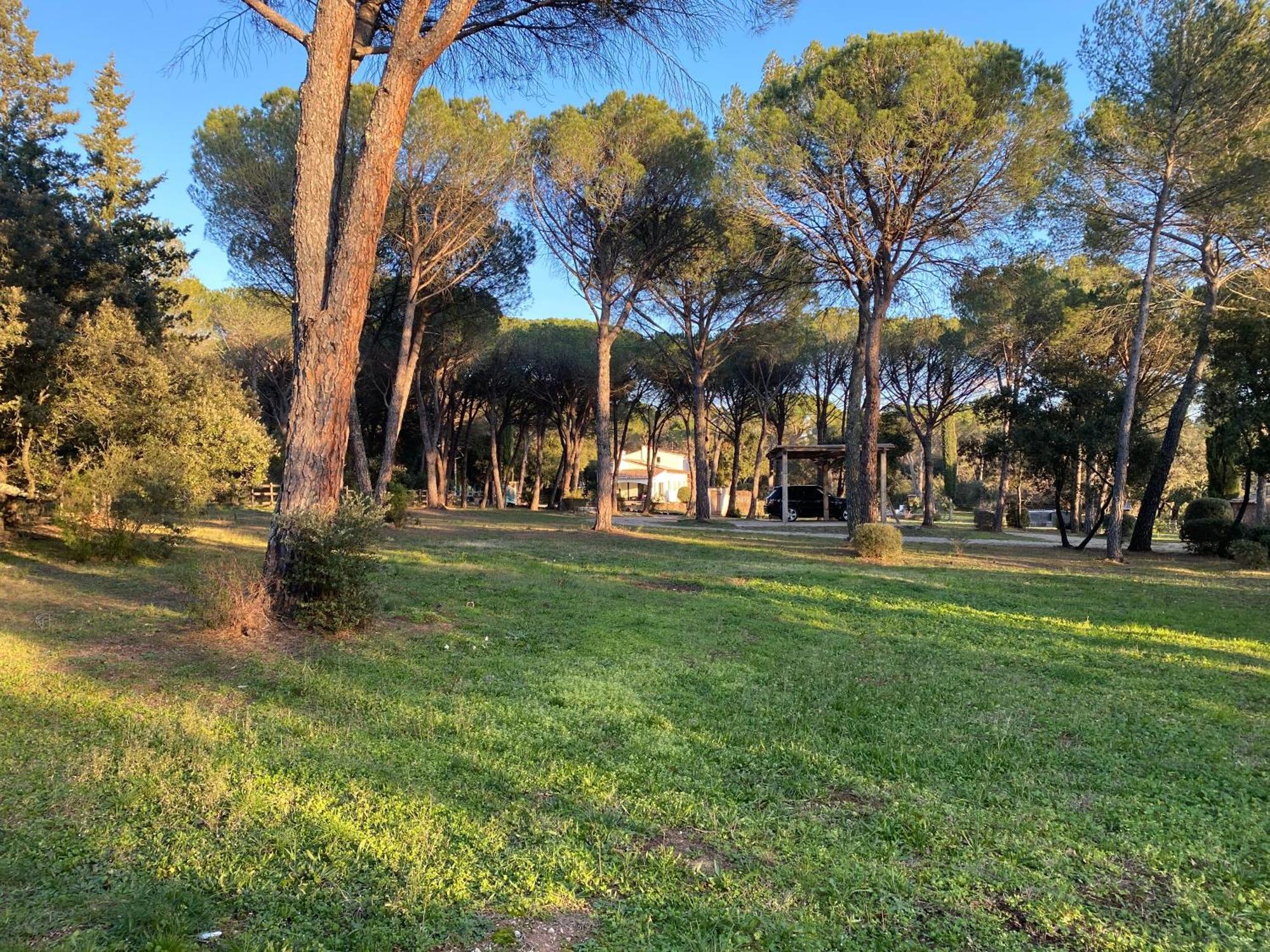 Residence Gabrielle Le Cannet Des Maures Exteriör bild